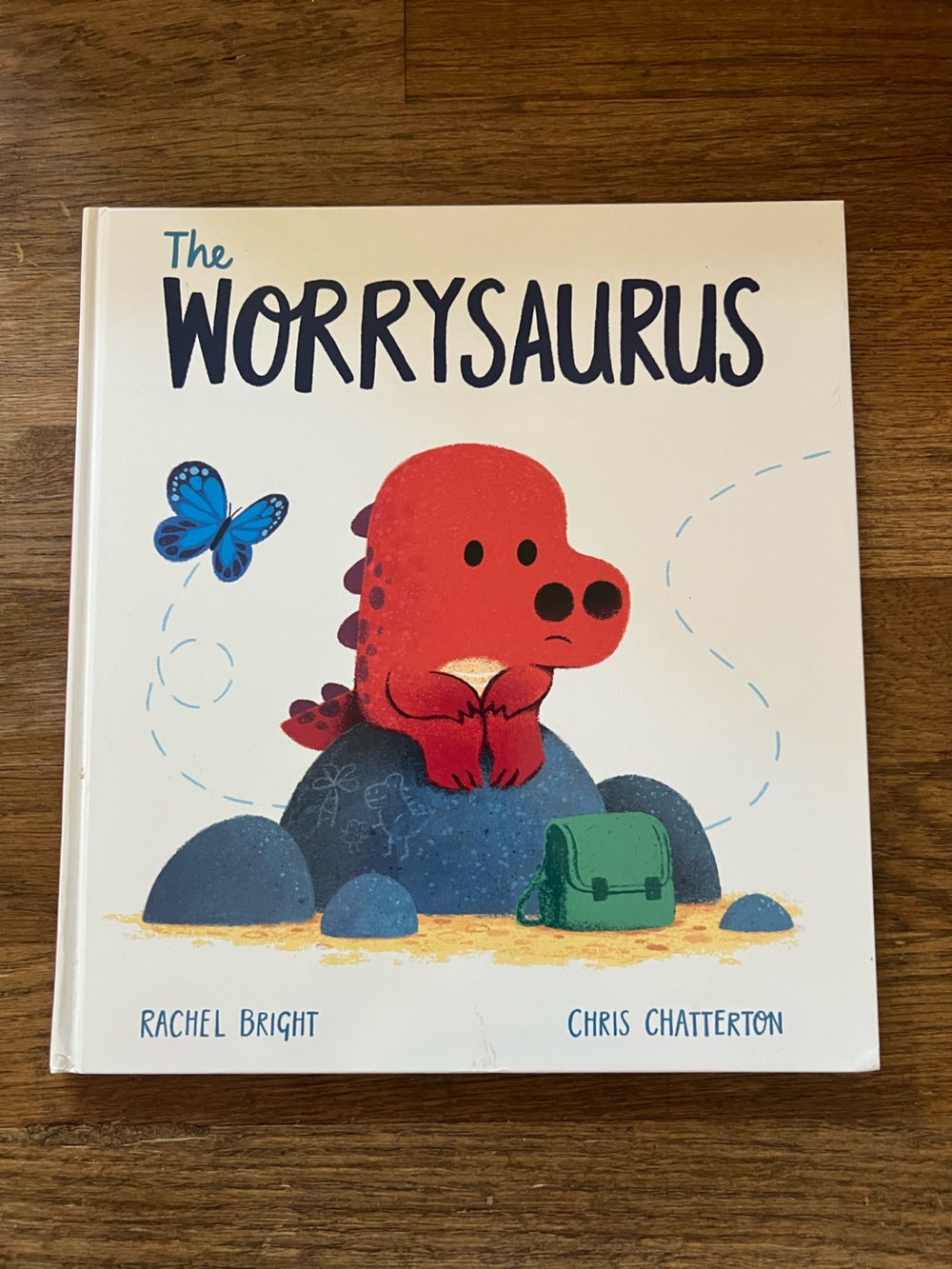 The worrysaurus Dinosaur Book Worry Anxiety Help Cute Helpful Hardback